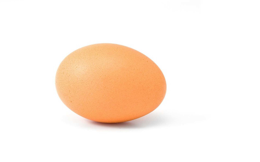 Egg world record, il primo trend Instagram 2019