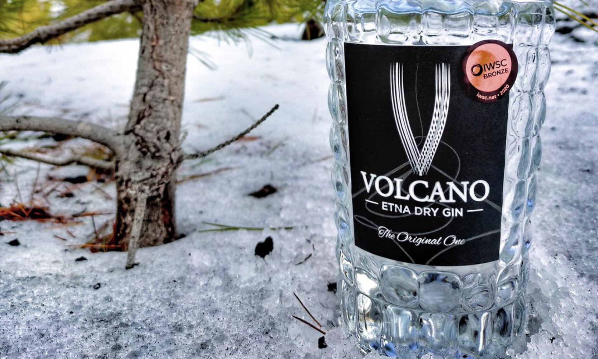 2(1) volcano gin