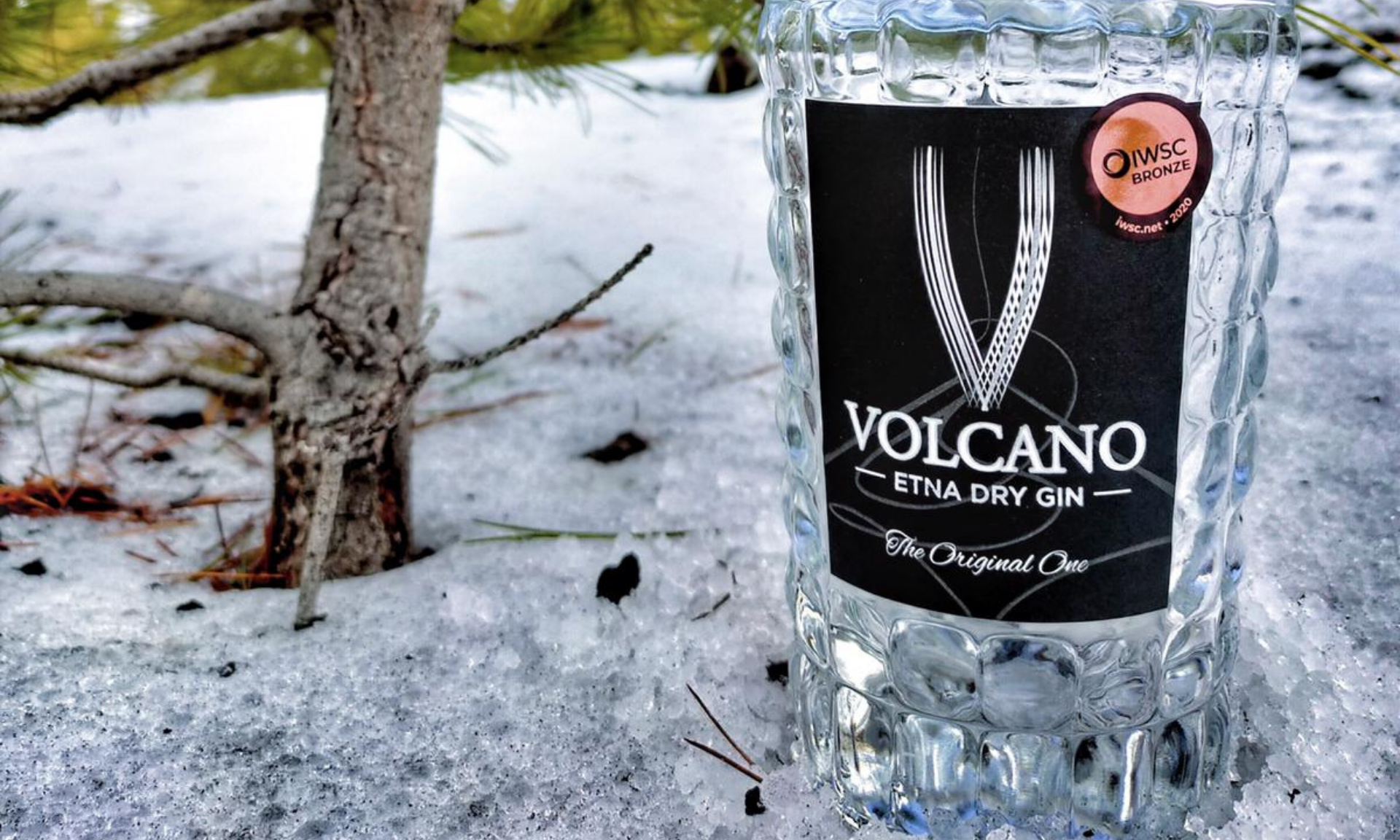 volcano gin