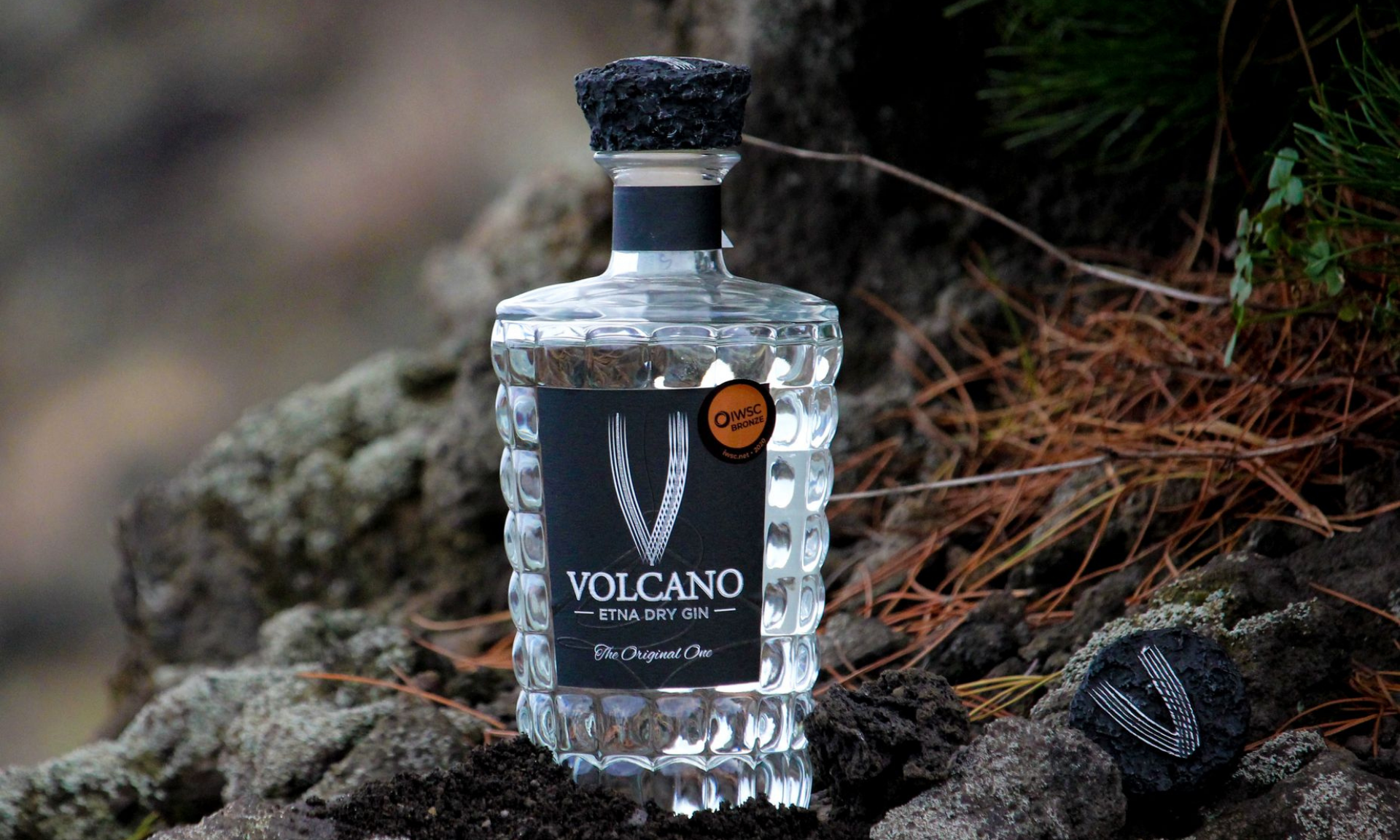 3(1) volcano gin etna